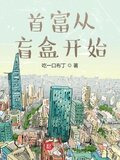 首富从盲盒开始